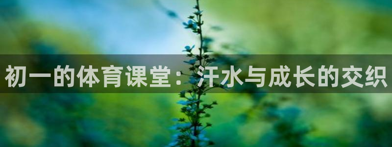 速播体育网：初一的体育课堂：汗水与成长的交织