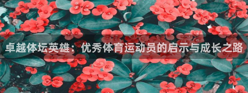 关键词：卓越体坛英雄：优秀体育运动员的启示与成长之路