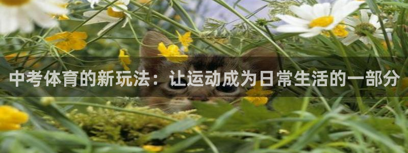 速播体育