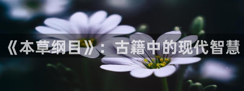 速播体育网
