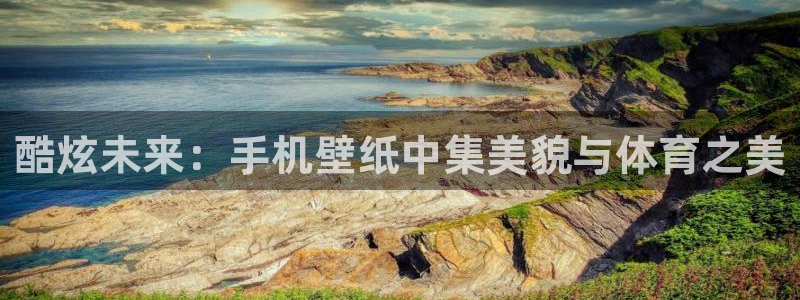 速播体育网