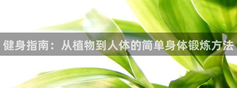 速播体育：健身指南：从植物到人体的简单身体锻炼方法