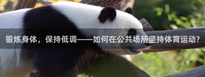 速播体育