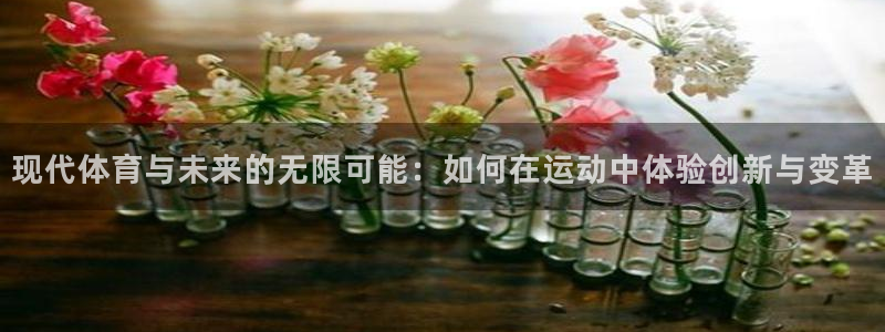 速播体育网