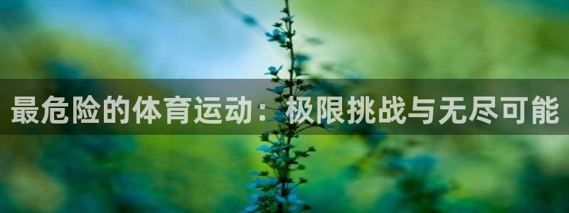速播体育网：最危险的体育运动：极限挑战与无尽可能